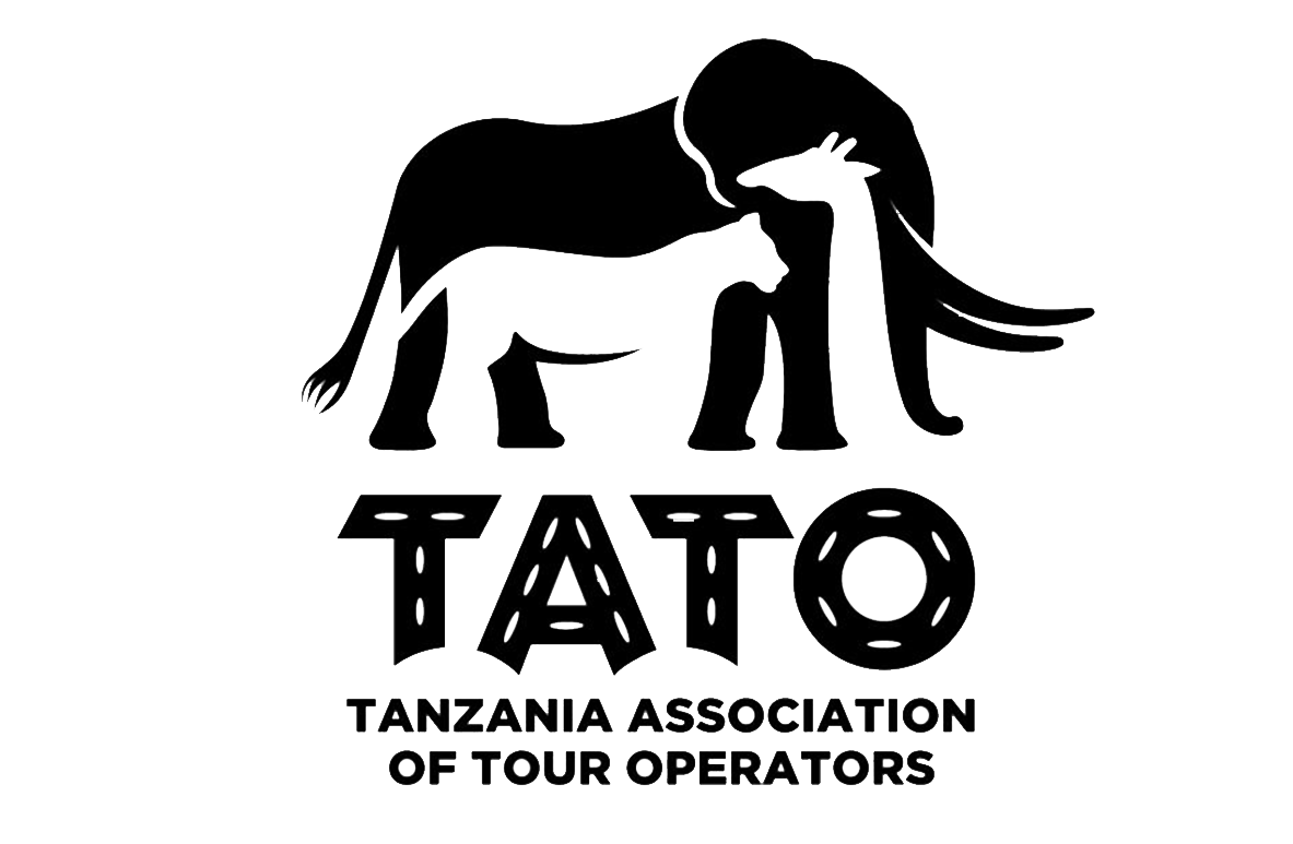 tato-vector-new-1
